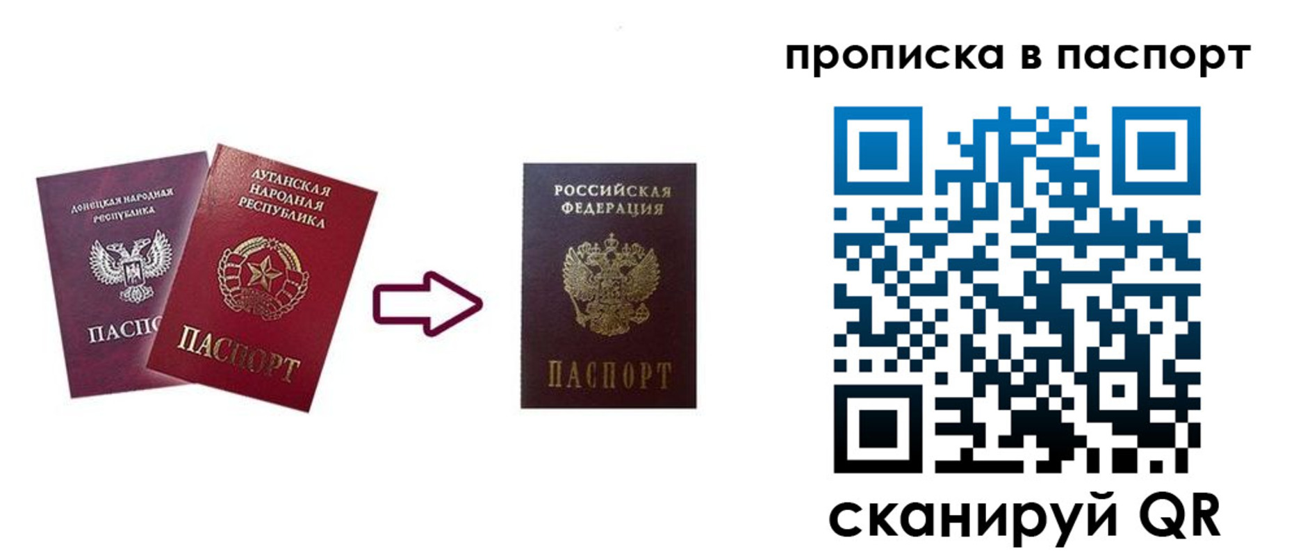 прописка иностранных граждан в Лыткарино